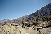 The Colca Valley is one of the most intensively terraced regions in the Andes 